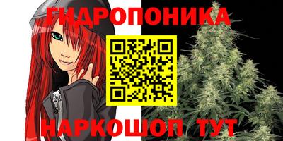 каннабис Когалым