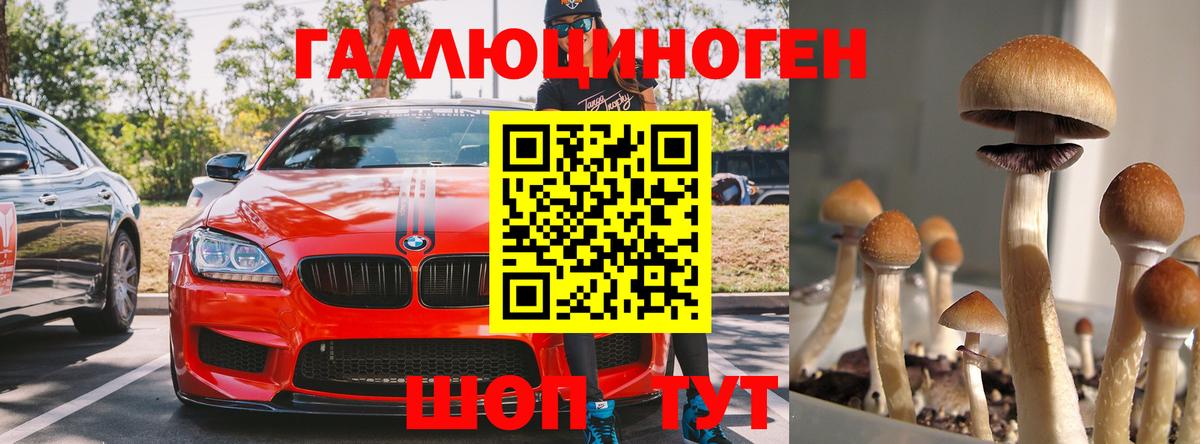Псилоцибиновые грибы мухоморы Минеральные Воды